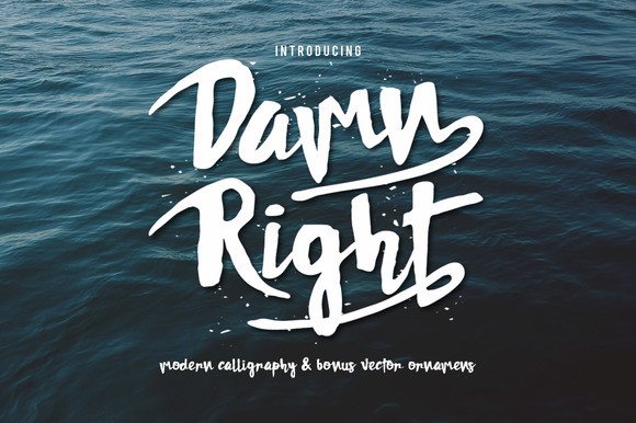 Discover the Playful Charm of Damn Right Font