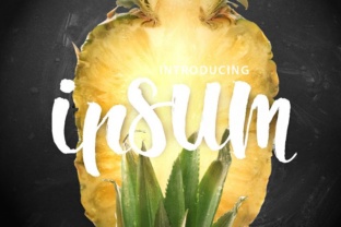 Ipsum Script: A Modern Brush Script Font for Digital Creativity