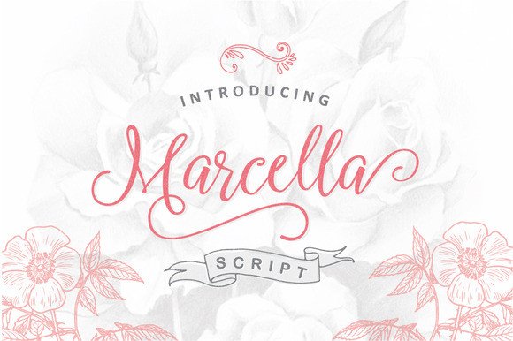 Marcella: A Timeless Script Font for Editorial Design